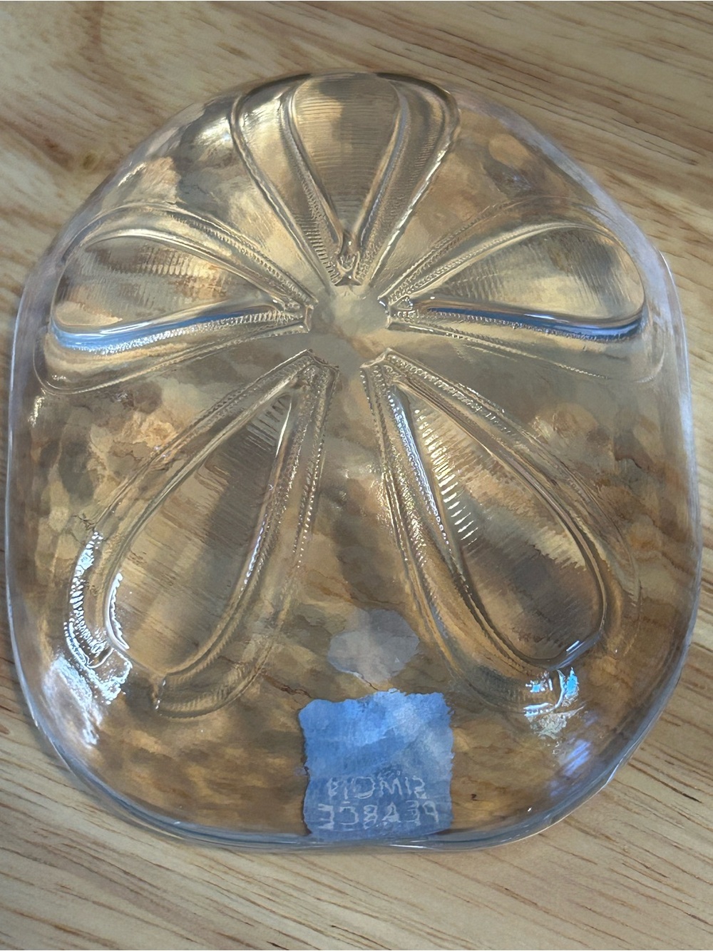 Simon Pearce Clear Art Glass Sand Dollar Paperweight 4.5” Signed Beach Sea Shell